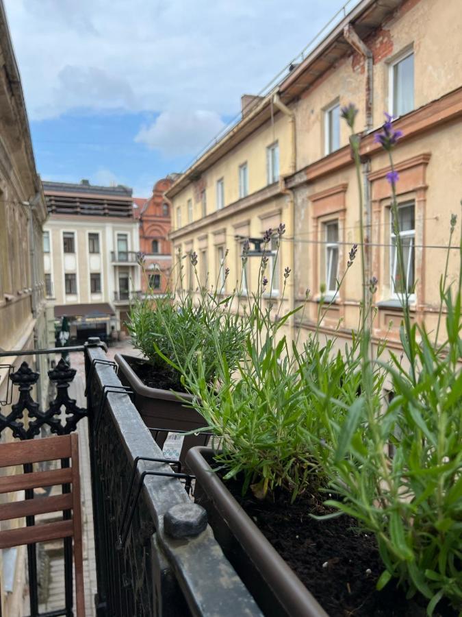 Old Town Apartment Κάουνας Εξωτερικό φωτογραφία